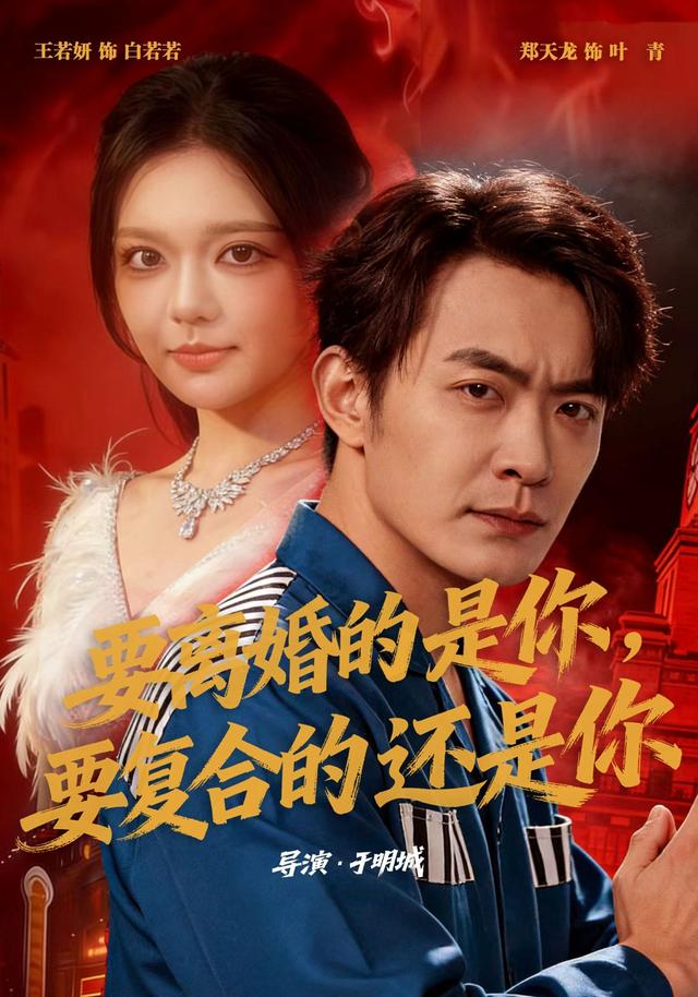 要离婚的是你，要复合的还是你海报